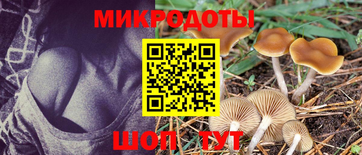 Галлюциногенные грибы Psilocybine cubensis  Вход с VPN  Псилоцибиновые грибы Psilocybine cubensis  Москва 